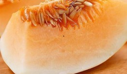 合蜜瓜咋吃,解锁美味新方式