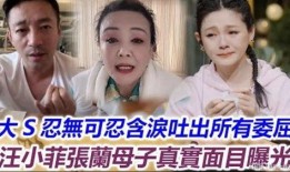 大s婆婆吃瓜,揭秘豪门背后的八卦风云