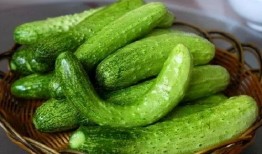 斗鱼南枫吃瓜,揭秘网络红人的幕后故事