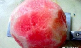 五爪吃瓜,瓜界奇谈