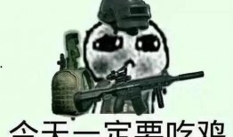 狂风吃鸡吃瓜,吃鸡吃瓜两不误，畅享欢乐时光