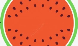 吃瓜网西瓜图标
