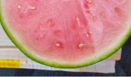 国外网友吃瓜,揭秘国外网友的“吃瓜”狂欢