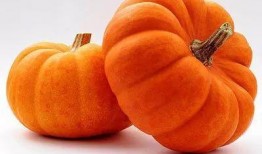 大师姐吃瓜系统