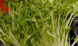 清远吃瓜谭,揭秘当地美食背后的故事与传说