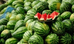 凹凸吃瓜达人,凹凸吃瓜达人的人生智慧