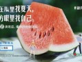 没有瓜吃的文案,揭秘“没有瓜吃”背后的社会现象
