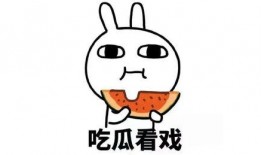 吃瓜群都是吃的啥,吃瓜群的热门瓜类大盘点