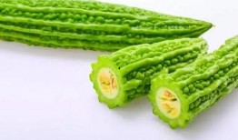 毛瓜何时吃较好,毛瓜的最佳食用时间揭秘