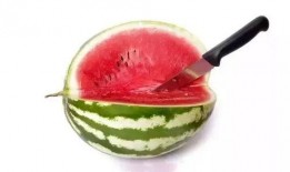 高端局吃瓜,揭秘电竞圈幕后吃瓜大事件