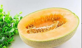 生的树瓜怎么吃,探索生食树瓜的味蕾之旅