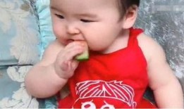 亲娃吃瓜,揭秘娱乐圈那些不为人知的幕后故事