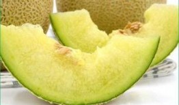 嗯宝宝多大可以吃哈密瓜,哈密瓜引入指南