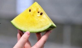 合作吃瓜,共享快乐时光