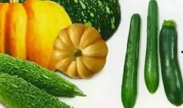 夏天吃瓜的图,图解夏日吃瓜乐趣