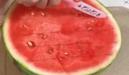 吃瓜要有仪式感,仪式感满满的瓜界狂欢