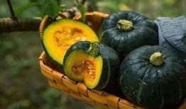 板栗老瓜吃皮吗,传统食材的新认识