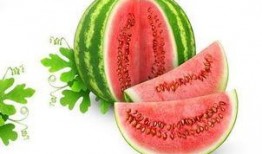 星见雅吃瓜,揭秘娱乐圈背后的那些事儿