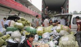 2023曹县吃瓜事件,一场网络狂欢背后的真相与反思