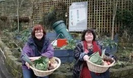 门口大娘吃瓜图片,一幕市井生活的温馨剪影