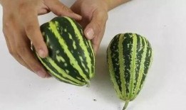 捏捏吃瓜,揭秘娱乐圈幕后故事