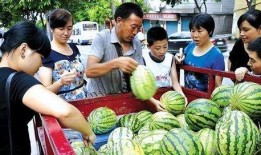 地摊吃瓜,揭秘街头美食的独特魅力