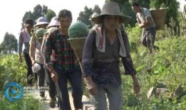 吃瓜西南林大,吃瓜群众眼中的校园风云录