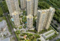 高尚领域吃瓜,揭秘吃瓜群众的趣味生活圈