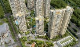 高尚领域吃瓜,揭秘吃瓜群众的趣味生活圈