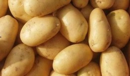 吃瓜不如吃土豆,吃瓜不如品土豆的别样风味