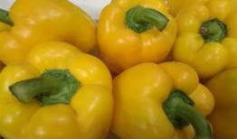 乌鲁木齐新世纪吃瓜,夏日吃瓜盛宴，尽享清凉时光