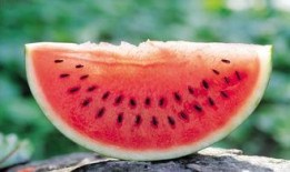 裴茗前排吃瓜,揭秘娱乐圈幕后风云