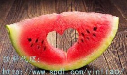 梦见羊吃瓜,羊儿瓜田乐逍遥