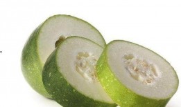 小冬瓜吃瓜,小冬瓜的甜蜜瓜果之旅