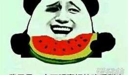 吃瓜的群众表示什么,揭秘“吃瓜群众”背后的热议焦点