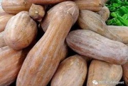 方瓜不能经常吃,健康饮食指南