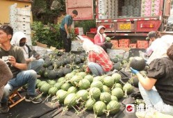 前沿吃瓜,揭秘娱乐圈最新热点事件