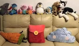 沙发吃瓜群众图片,揭秘网络热议背后的众生相