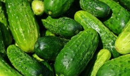 夏天吃瓜的图,图解夏日吃瓜乐趣