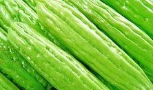 吃中药能吃凉瓜,吃中药时，凉瓜的适宜搭配与禁忌