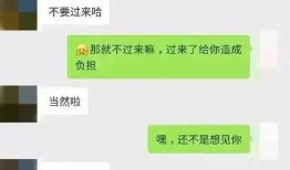 吃瓜群众吃瓜聊天记录图片,一场关于瓜田的趣味对话盛宴