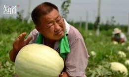 专业的吃瓜,专业吃瓜群众带你领略幕后风云