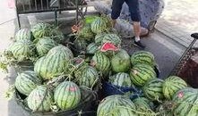 椒江吃瓜事件视频最新,视频揭露惊人真相，网友热议不断