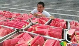 成都吃瓜视频,揭秘网红美食背后的故事