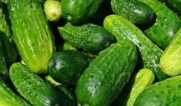 吃瓜网络名,网络热词背后的文化现象