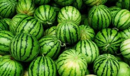 南京队hero吃瓜,揭秘电竞圈幕后风云