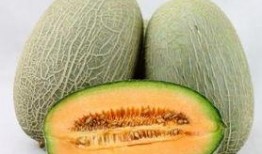 做梦吃哈密瓜,哈密瓜的奇幻之旅
