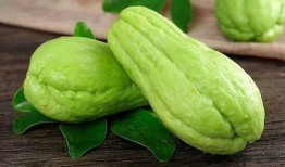 拉肚子可以吃生吊瓜吗,生吊瓜能否成为缓解良方？