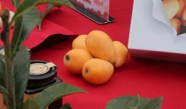 fruit吃瓜q群,探索fruit吃瓜q群的欢乐时光