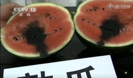 吃瓜视频什么梗,揭秘网络热门梗背后的故事